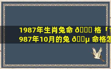 1987年生肖兔命 🕊 格「1987年10月的兔 🌵 命格怎么样」